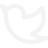 Twitter Icon